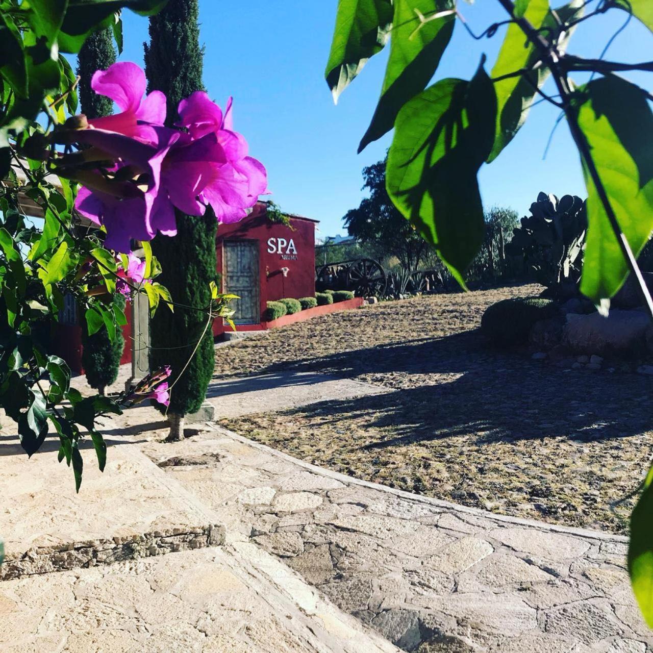 View Hotel Boutique Don Juan Xido De Abajo Luaran gambar